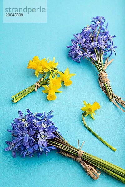 Frühling Schneeglöckchen Blumen Bluebells  Narzissen auf blauem Pastell Hintergrund. Seitenansicht  Nahaufnahme  Stillleben. Schönheit  Frühling Konzept