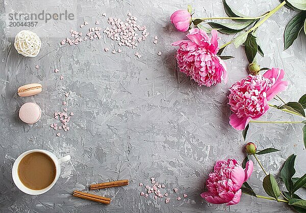 Rosa Pfingstrose Blumen und eine Tasse Kaffee auf einem grauen Beton Hintergrund. Morninig  Frühling  Mode Zusammensetzung. Flachlage  Draufsicht  Kopierraum