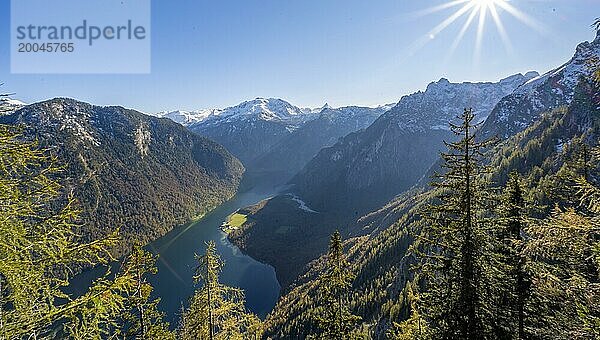 Panoramablick auf den Königssee vom Aussichtspunkt Archenkanzel  herbstlicher Wald und schneebedeckte Berge  Sonnenstern  Nationalpark Berchtesgaden  Berchtesgadener Land  Oberbayern  Bayern  Deutschland  Europa
