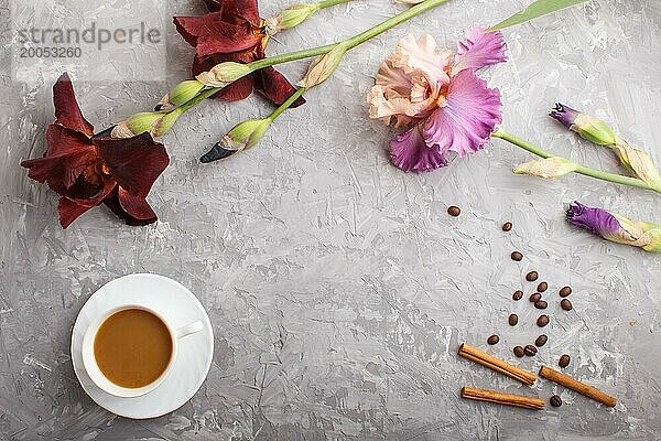 Lila und bordeauxfarbene Irisblüten und eine Tasse Kaffee auf einem grauen Betonhintergrund. Morninig  Frühling  Mode Zusammensetzung. Flachlage  Draufsicht  Kopierraum