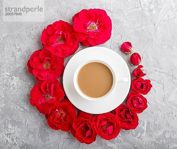 Rote Rosenblüten in einer Spirale und eine Tasse Kaffee auf einem grauen Betonhintergrund. Morninig  Frühling  Mode Zusammensetzung. Flachlage  Draufsicht  Nahaufnahme