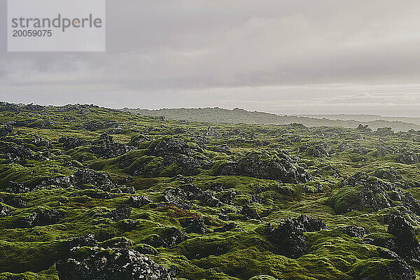 Malerische  zerklüftete Landschaftsansicht  Island