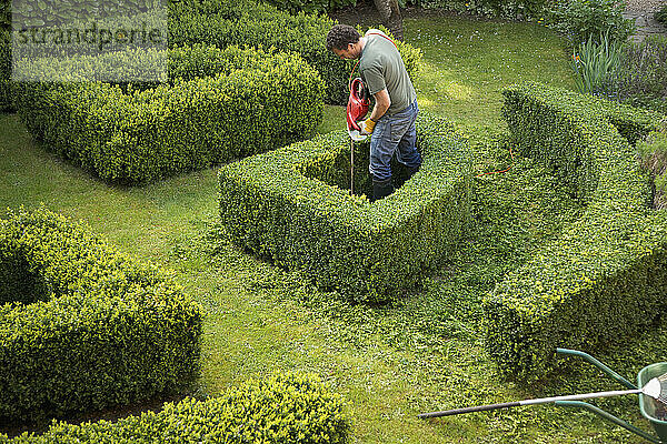 Gärtner beschneidet eine Hecke in einem Labyrinth mit elektrischem Trimmer  erhöhte Ansicht