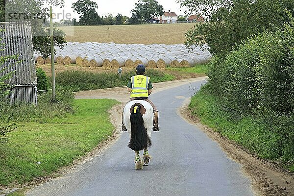 Frau reitet auf einem Pferd über einen ruhigen Feldweg  Bromeswell  Suffolk  England  UK