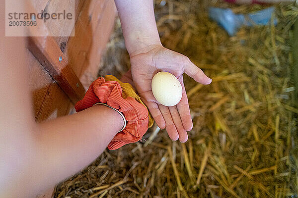 Glückliches junges Mädchen pflückte ein frisches Ei von den Hühnern
