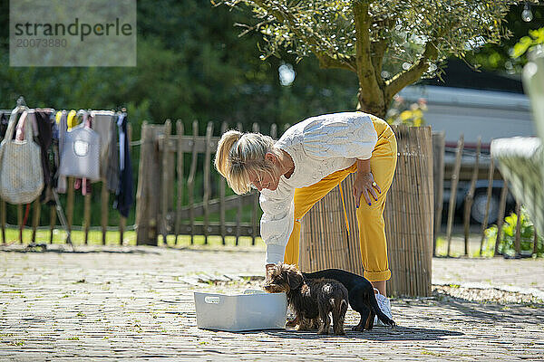 Attraktive Mutter wäscht mit Hilfe ihres Hundes Wäsche in ihrem Garten