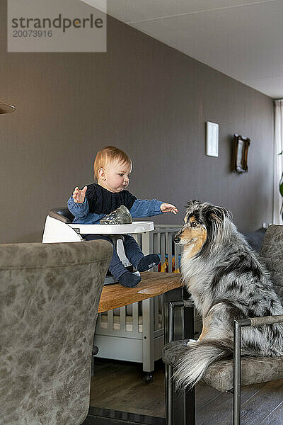 Mutter füttert ihr kleines Baby mit seinem Mittagessen  während es in seinem Hochstuhl oben auf der Küchenseite sitzt. Spielen mit dem Familienhund