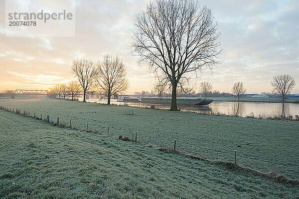 Schöner Wintermorgen auf einem Feld. Die Sonne geht auf  klarer Himmel