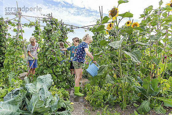 Schwestern helfen ihrer Mutter bei ihrem Kleingarten. Im Sommer frisches Gemüse im Gartengarten gießen. Wachstum  Vitalität