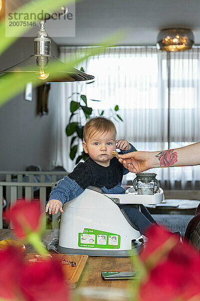 Mutter füttert ihr kleines Baby mit seinem Mittagessen  während es in seinem Hochstuhl oben auf der Küchenseite sitzt. Spielen mit dem Familienhund