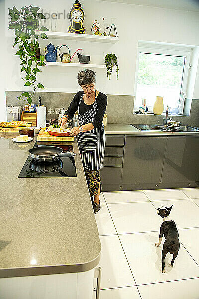 Eine Frau bereitet in ihrer modernen Küche Essen zu und bleibt stehen  um mit ihrem Hund Boston Terrier zu sprechen