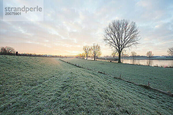 Schöner Wintermorgen auf einem Feld. Die Sonne geht auf  klarer Himmel