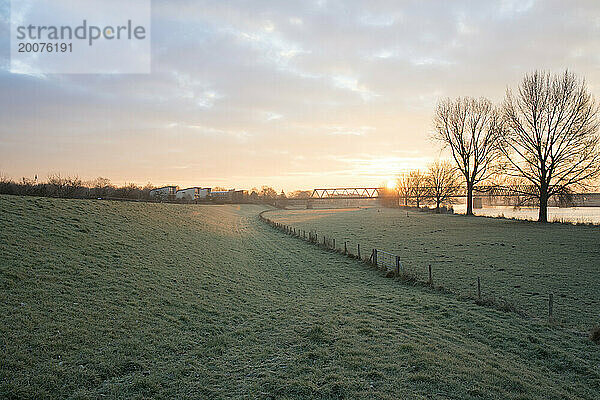 Schöner Wintermorgen auf einem Feld. Die Sonne geht auf  klarer Himmel