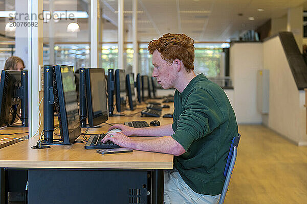 Ingwer-Student studiert in der Bibliothek am Computer