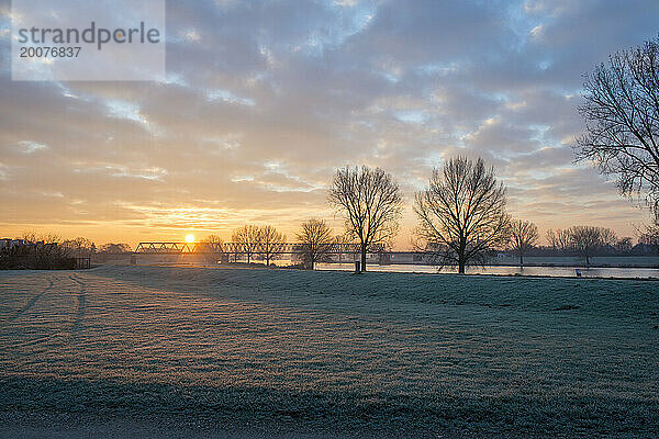 Schöner Wintermorgen auf einem Feld. Die Sonne geht auf  klarer Himmel