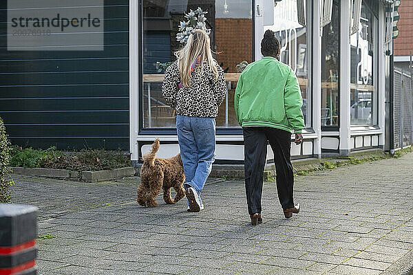 Enge Freunde gehen mit ihrem Hund spazieren