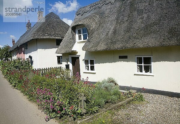 Attraktive reetgedeckte Cottages in dem Dorf Rattlesden  Suffolk  England  Großbritannien  Europa