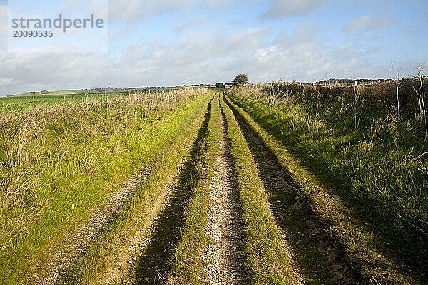 Der aus der Vorgeschichte stammende Fernwanderweg Ridgeway in der Nähe seines Anfangs auf dem Overton Hill  Marlborough Downs  Wiltshire  England  UK