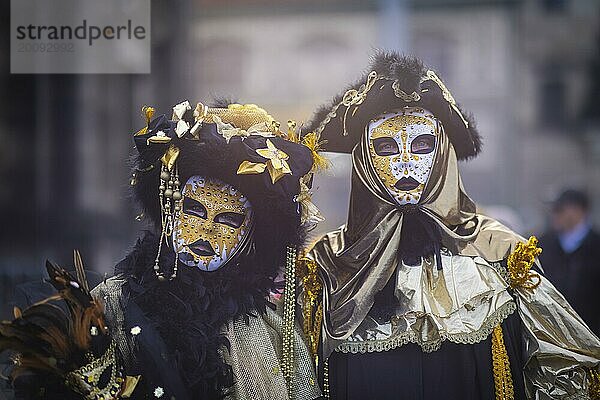 LUST & LEIDENSCHAFT & LEBENSFREUDE  aus Freude an der Maskerade fand der Elbvenezianische Carneval am Wochenende vorm Rosenmontag in Dresden statt. Höhepunkt war das gemeinsame Flanieren durch das historische Zentrum mit Masken in Roben im Stil des Elbvenezianischen Carneval vom Neumarkt ging es durch die Altmarktgalerie  die Schlossstraße  durch den Stallhof  am Fürstenzug entlang  auf die Brühlsche Terrasse und in den Brühlschen Garten.  Dresden  Sachsen  Deutschland  Europa