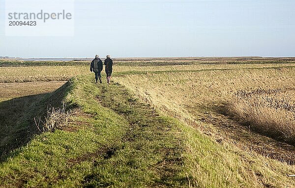 Zwei Personen  die auf der Küstenschutzmauer in der Shingle Street spazieren gehen  Suffolk  England  Großbritannien  Europa