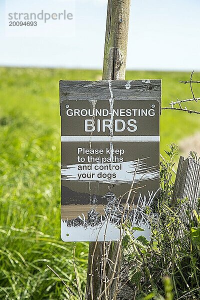Hinweisschild für bodenbrütende Vögel über die Einhaltung der Wege und die Kontrolle von Hunden  Shingle Street  Hollesley  Suffolk  England  UK