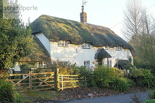 Attraktives traditionelles reetgedecktes Cottage im Dorf Manningford Bruce  Wiltshire  England  UK