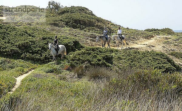 Drei Personen beim Ponyreiten auf dem Küstenpfad  dem Fischerpfad der Ruta Vicentina  Odeceixe  Algarve  Portugal  Südeuropa  Europa