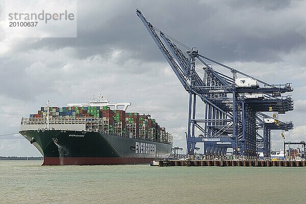 Evergreen Ever Govern  eines der größten Containerschiffe der Welt  beim Erstanlauf im Hafen von Felixstowe  Suffolk  England  UK  17 Aug 2019
