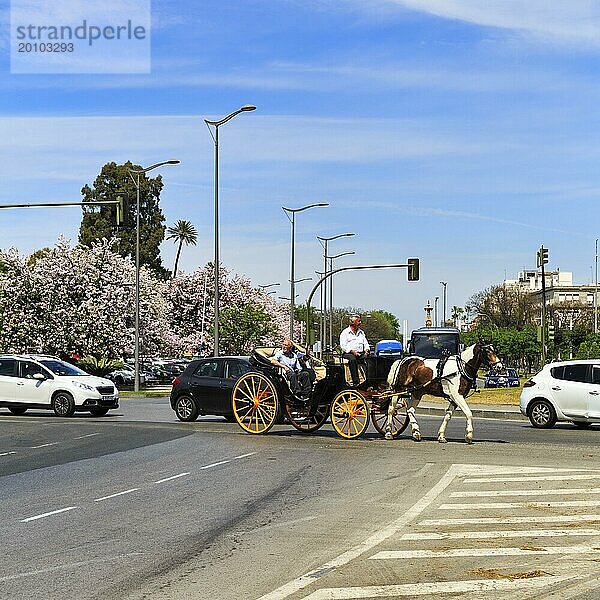 Touristen fahren in einer Pferdekutsche über eine Straßenkreuzung  Sevilla  Spanien  Europa