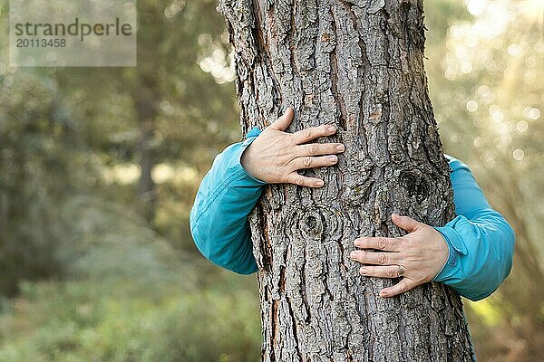 Frau  die einen Baum im Wald umarmt  Konzept der Liebe zur Natur