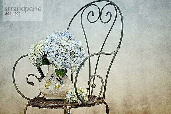 Stillleben mit Hortensien in Vase auf altem rostigen Deko-Stuhl