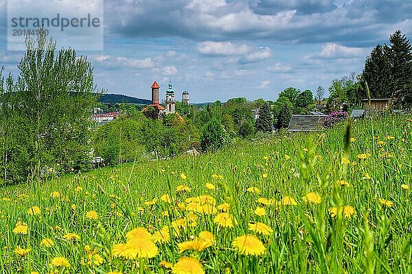 Auerbach im Vogtland im Frühling  the town Auerbach in spring  Landscape Vogtland  Deutschland  Europa