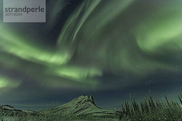 Grüne Nordlichter (Aurora borealis) über verschneiten Bergen  Brooks Range  Alaska  USA  Nordamerika