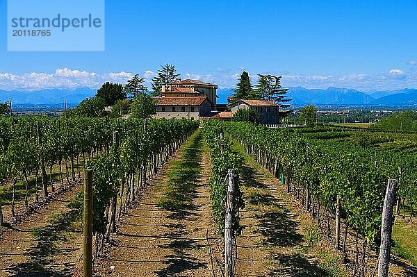 Friaul  Weingut in Norditalien  Friaul vineyard estate in Northern Italy