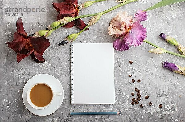 Lila und Burgunder Iris Blumen und eine Tasse Kaffee und Notebook auf einem grauen Hintergrund Beton. Morninig  Frühling  Mode Zusammensetzung. Flachlage  Draufsicht  Kopierraum