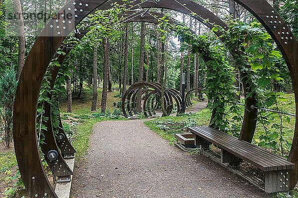 Ein Waldpark mit großen Bäumen und kreativen Bänken und Bögen. Druskinikai  Litauen  Europa