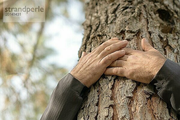 Mann  der einen Baum im Wald umarmt  Konzept der Liebe zur Natur