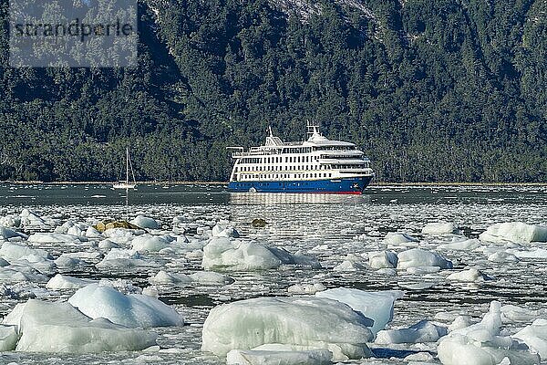 Kreuzfahrtschiff Stella Australis ankert zwischen Eisschollen in der Pia-Bucht vor dem Pia-Gletscher  Nationalpark Alberto de Agostini  Allee der Gletscher  Chilenische Arktis  Patagonien  Chile  Südamerika
