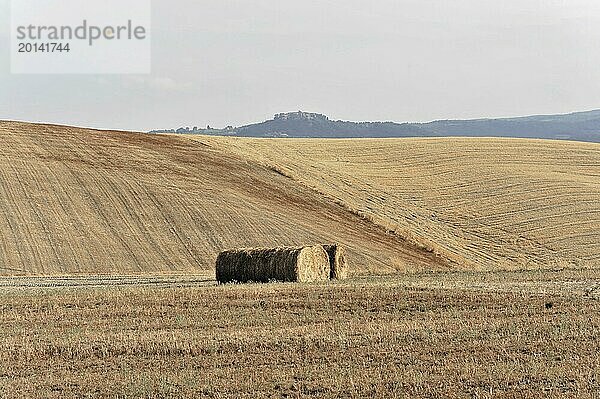 Abgeerntete Weizenfelder  Landschaft südlich von Pienza  Toskana  Italien  Europa