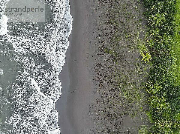 Luftaufnahme  Strand und Meer  Küste mit Regenwald  Tortuguero Nationalpark  Costa Rica  Mittelamerika