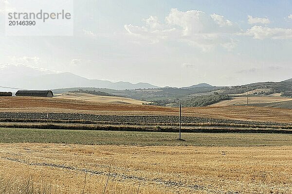 Abgeerntetes Weizenfeld  Landschaft nördlich von Sorano  Toskana  Italien  Europa