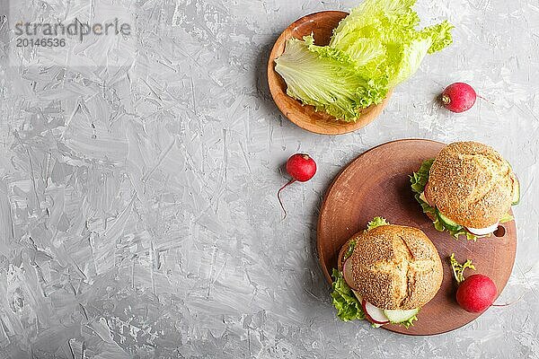 Sandwiches mit Käse  Rettich  Salat und Gurke auf Holzbrett auf grauem Betonhintergrund. Ansicht von oben  Kopierraum