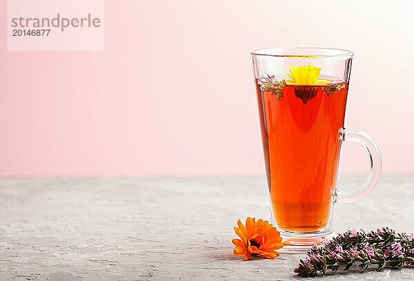 Glas Kräutertee mit Calendula und Ysop auf einem grauen und rosa Hintergrund. Morgens  Frühling  gesundes Getränk Konzept. Seitenansicht  selektiver Fokus  Kopierraum