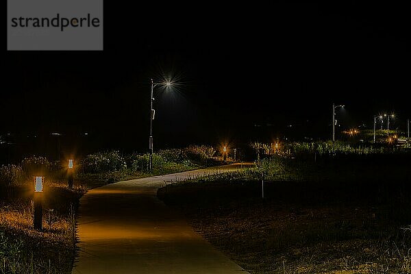 Nachtansicht eines betonierten Gehwegs in einem öffentlichen Park mit Straßenbeleuchtung entlang des Weges in Südkorea