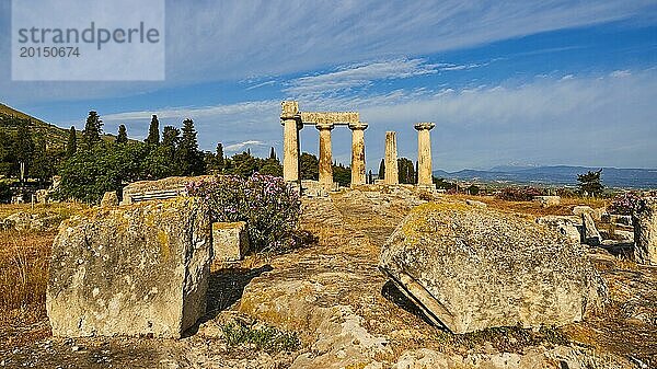 Archaischer Apollon-Tempel  Dorische Säulen  Weg führt zu Ruinen mit blühenden Blumen im Vordergrund  unter einem klaren Himmel  Archäologische Ausgrabungsstätte  Archea Korinthos  Korinth  Peloponnes  Griechenland  Europa