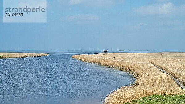 Hütte in der Ferne eines ruhigen Wassers mit weitem Blick auf Horizont und Himmel  Nieuwe Statenzijl  Dollart  Drieborg  Groningen  Niederlande  Europa