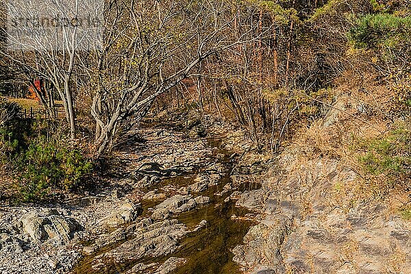 Herbstlandschaft eines seichten Flusses mit felsigem Flussbett an einem sonnigen Tag in Südkorea