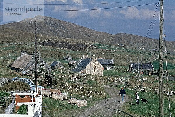 Schafe  Bauer  Kind  Menschen  Straße  Häuser  Dursey Island  Beara Halbinsel  County Cork  Republik Irland  April 1996  vintage  retro  alt  historisch