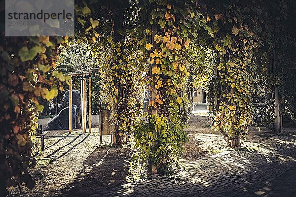 Ein Laubengang mit herbstlichem Laub und sanftem Sonnenlicht  der Romantik und Ruhe ausstrahlt  Auf den Straßen von Weimar