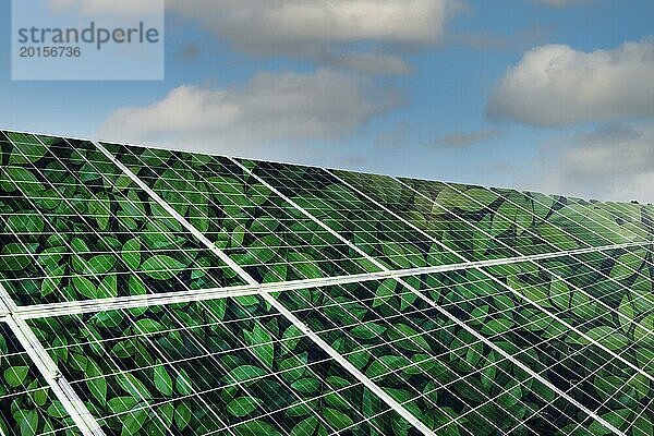 Illustration für Klimaschutz Photovoltaik Module mit grünen Blättern und Himmel